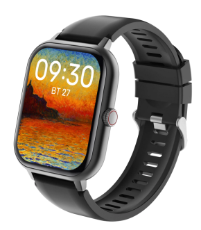 Смарт-часы Geozon Control Dark Grey